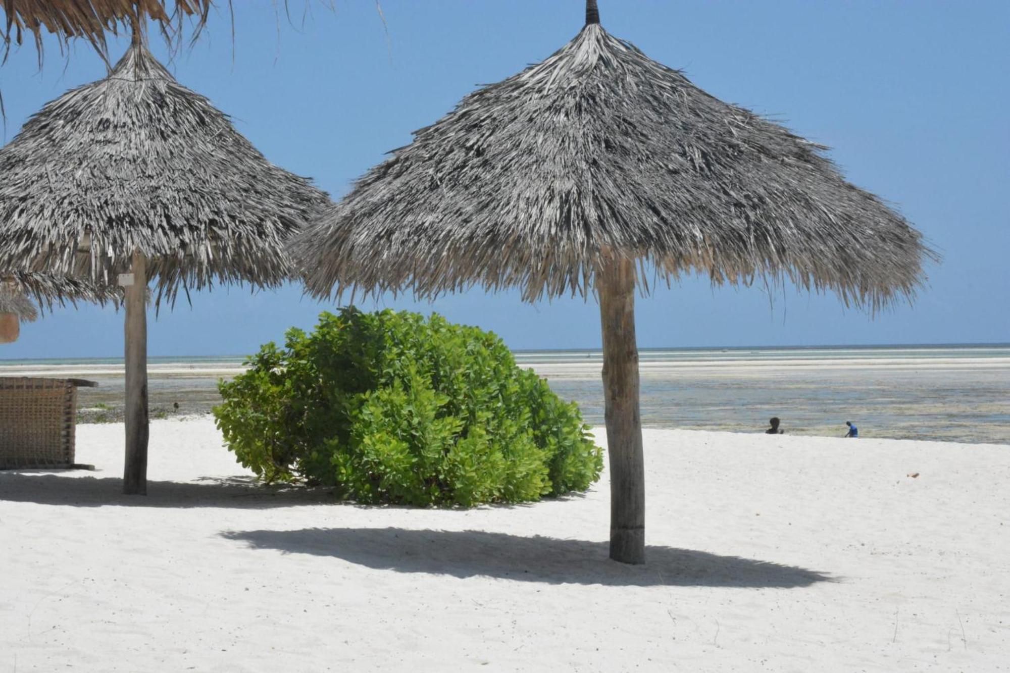 Pole Pole Beach House Ватаму Екстериор снимка